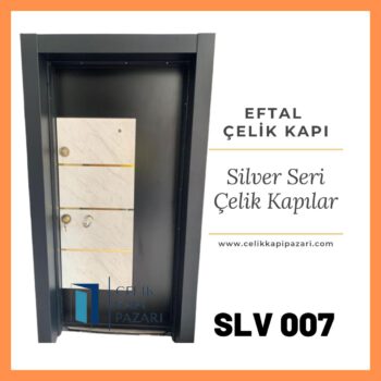 SLV 008